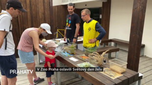 V Zoo Praha oslavili Světový den želv