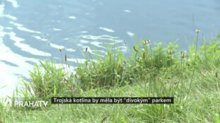 Trojská kotlina by měla být 