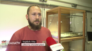 Zoo Praha úspěšně odchovává zmije