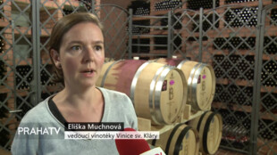 Vinice sv. Kláry představila podzimní program
