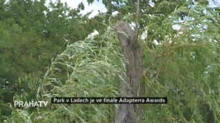 Park v Ladech je ve finále Adapterra Awards