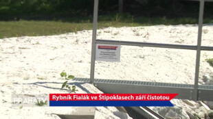 Rybník Fialák ve Štipoklasech září čistotou