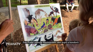 Zoo Praha oslavila Mezinárodní den supů a kondorů