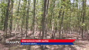 Starostové řešili sucho