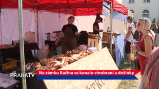 Na zámku Kačina se konalo vinobraní a dožínky