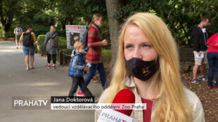 Sobota patřila v Zoo Praha tučňákům
