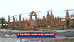 V Zoo Chleby otevřeli nový pavilon lvů