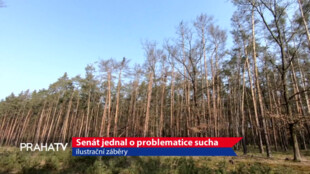 Senát jednal o problematice sucha