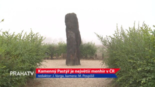 Kamenný pastýř je největší menhir v České republice