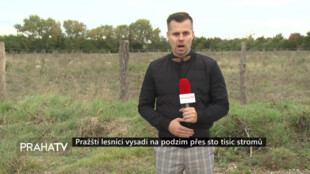 Pražští lesníci vysadí na podzim přes sto tisíc stromů