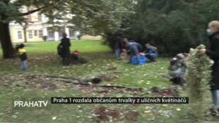 Praha 1 rozdala občanům trvalky z uličních květináčů