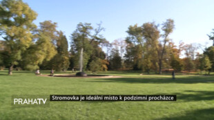 Stromovka je ideální místo k podzimní procházce