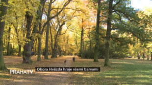 Obora Hvězda hraje všemi barvami