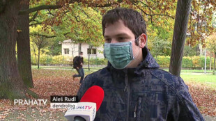 V Klánovicích najdete Alej Hany Benešové