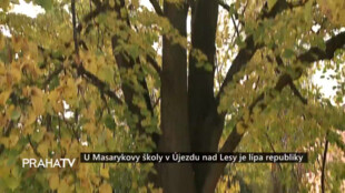 U Masarykovy školy v Újezdu nad Lesy je lípa republiky