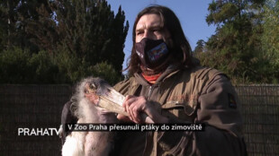 V Zoo Praha přesunuli ptáky do zimoviště