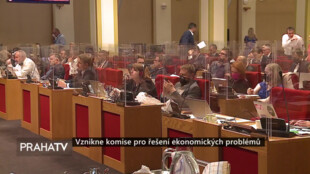 Vznikne komise pro řešení ekonomických problémů