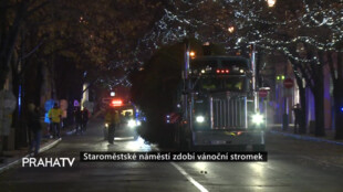 Staroměstské náměstí zdobí vánoční stromek