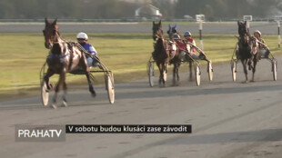 V sobotu budou klusáci zase závodit