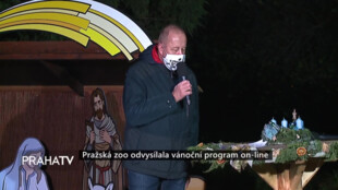 Zoo Praha odvysílala vánoční program on-line