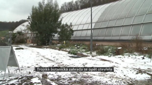 Trojská botanická zahrada se opět otevřela