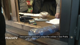 Zakoupením suvenýrů podpoříte zvířata v Zoo Praha