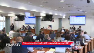 Stč. zastupitelé schválili rozpočet na rok 2021