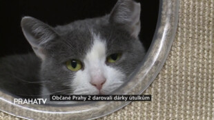 Občané Prahy 2 darovali dárky útulkům