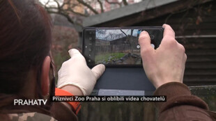Příznivci Zoo Praha si oblíbili videa chovatelů