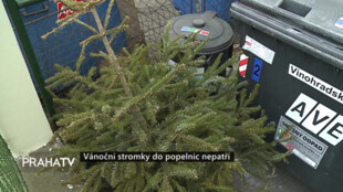 Vánoční stromky do popelnic nepatří