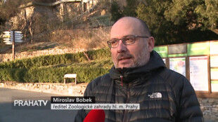 Zoo Praha rekapituluje rok 2020