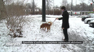 Zpestřete si volný čas s pejskem zajímavými aktivitami