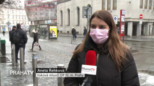 Loni ubylo skoro o 50 % srážek tramvají s chodci