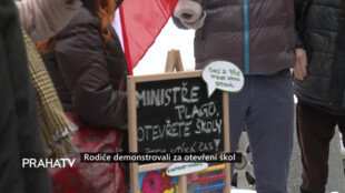 Rodiče demonstrovali za otevření škol