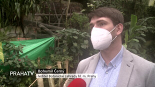 Část skleníku Fata Morgana prochází proměnou