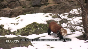 Zoo nabízí stravenky, sponzoring i adopce zvířat