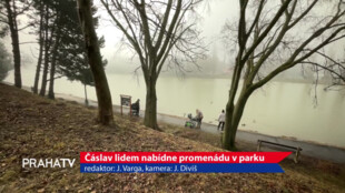 Čáslav lidem nabídne promenádu v parku