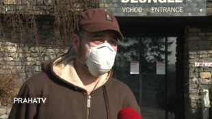 Kawi je třetím mládětem orangutana v Zoo Praha