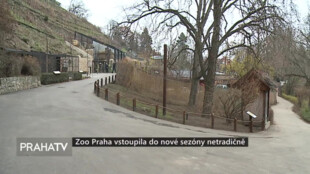 Zoo Praha vstoupila do nové sezóny netradičně