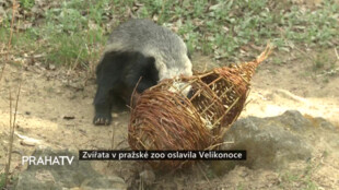 Zvířata v pražské Zoo oslavila Velikonoce