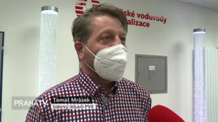 PVK začínají s deratizací stokové sítě