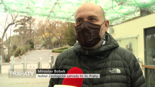 Pražská Zoologická zahrada je znovu otevřena