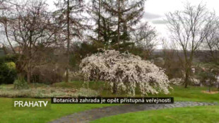 Botanická zahrada je opět přístupná veřejnosti