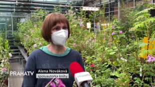 Nová kniha Botanické zahrady se věnuje pelargoniím