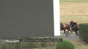 Začíná nová sezona klusáckých dostihů