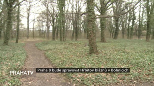 Praha 8 bude spravovat Hřbitov bláznů v Bohnicích