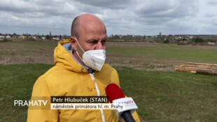 Nedaleko Lítožnice vznikne nový lesopark