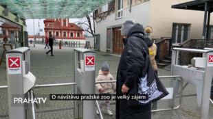 O návštěvu pražské zoo je velký zájem