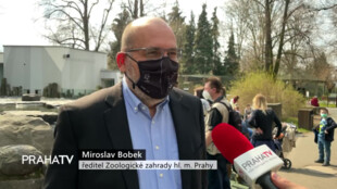 Film ukazuje zoo před více než 70 lety