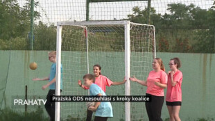 Pražská ODS nesouhlasí s kroky koalice